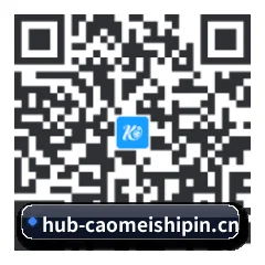 iOS 防封体系版 二维码