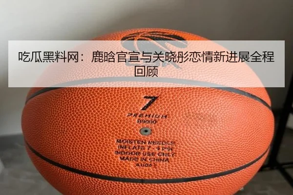 chi-gua-hei-liao-wang-lu-han-guan-xuan-yu-guan-xiao-tong-lian-qing-xin-jin-zhan-quan-cheng-hui-gu-2-868.jpg